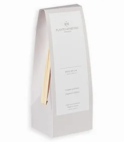 Bougies & Senteurs|Cocktail Scandinave Bouquets parfumés
