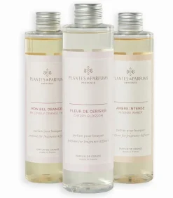 Bougies & Senteurs|Cocktail Scandinave Recharges bouquets parfumés